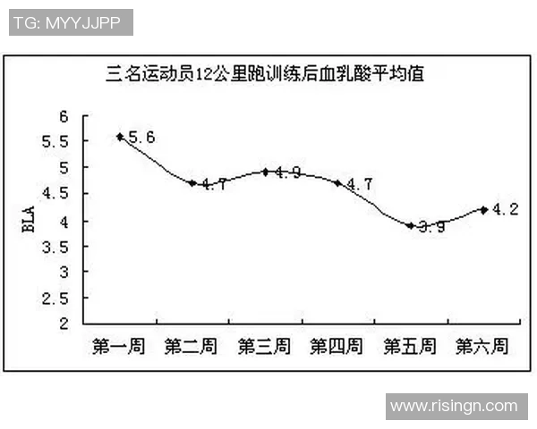 WE在职业联赛中的耐力表现分析与未来展望